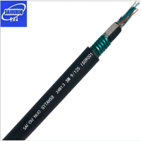 赛欧诺 铠装阻燃光缆 GYTAH58-24B1.3 米