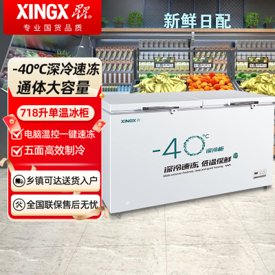 星星BD/BC-718GS 718升深冷低温冰柜-40℃商用大容量速冻水饺卧式冷冻柜家用鱼肉丸鲜肉雪柜全冷冻冷藏可转换