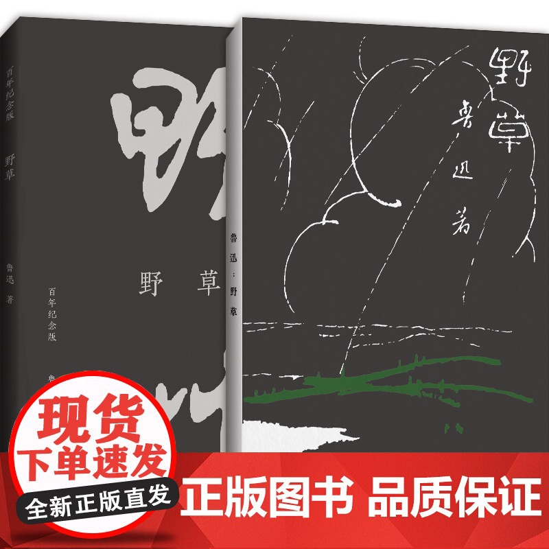 正版 野草初版百年纪念版鲁迅亲定的传世母本鲁迅亲自编定孙福熙绘封面的传世母本文学名家作品书籍23篇散文诗现当代文学书