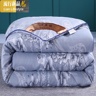 加厚保暖被子冬被丝棉被空调春秋被单人床双人冬季棉被芯被褥冬天 三维工匠