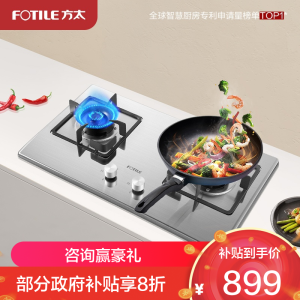 方太TH33G燃气灶双眼灶煤气灶单灶具燃气灶嵌入式灶煤气炉不锈钢灶台炉具炉灶带熄火保护