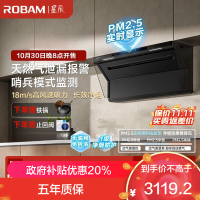 老板(Robam)星辰欧式顶吸抽油烟机净烟机P2.5净味吸油烟机国家补贴20%以旧换新搭配燃气灶22A7S油烟机