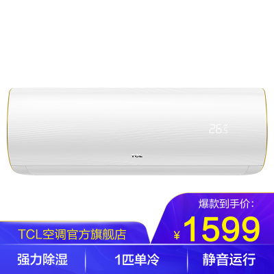 TCL大1匹定频单冷挂机