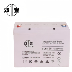 双登蓄电池6-GFM-65