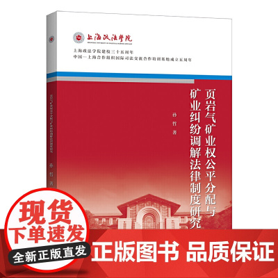 页岩气矿业权公平分配与矿业纠纷调解法律制度研究