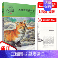 再被狐狸骗一次 [正版]再被狐狸骗一次动物小说大王沈石溪品藏书系 沈石溪精选全集作品大全 经典儿童文学 9-10-12-