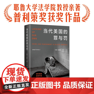 当代美国的罪与罚詹姆斯·福曼普利策奖获奖作品外国热门小说入选纽约时报华尔街日报正版书籍豆瓣高分图书译林出版社