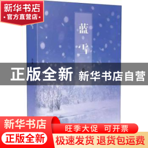 正版 蓝雪 孙琳著 电子科技大学出版社 9787564758585 书籍