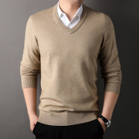 桐乡羊毛衫男冬季新款鸡心V领毛衣男套头加厚可机洗针织衫男打底