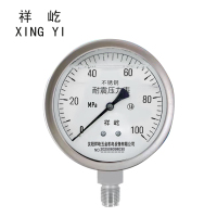 祥屹 耐震压力表 YN100 块