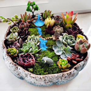 [补贴10%]多肉花盆陶瓷大口径特价清仓套装组合拼盘大号粗陶盆桌面花园