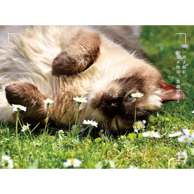 [M]热爱可抵岁月漫长-9787510470080