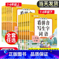 [2本]看拼音写生字词语+语文文学常识 二年级下 [正版]2023版看拼音写词语生字小学一年级二年级三四五六年级上册