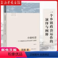 [正版]书店小镇喧嚣(一个乡镇政治运作的演绎与阐释)现当代文学社会学生活哲学 中国地区文化逻辑 乡镇文化社会政治图书读