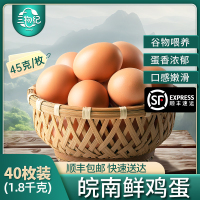 [苏鲜生推荐] 三物纪 AA级皖南新鲜土鸡蛋40枚无沙门氏菌橙心鸡蛋营养早餐