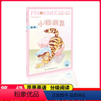 第一级-小猫捉鼠 小学通用 [正版]凤凰英语分级阅读第一级第二级第三级城里老鼠和乡下老鼠小猫捉鼠 小猫汤姆 少年埃菲尔