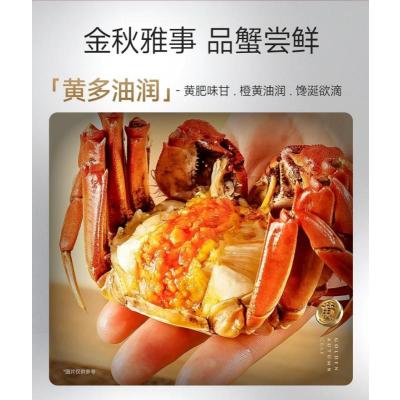 蟹状元498型 (雄蟹3.2两/3只+雌蟹2.2两/3只)非质量问题不支持退货