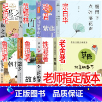 六年级上册必读 课内作家 [正版]六年级上册花之歌草原北京的春节紫藤萝瀑布丁香结细雨下点碎落花声竹节人会走路的梦故乡朝花