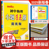 2025春新版恩波教育初中物理小题狂做 提优版九年级下 苏科版9下册物理初中同步练习教辅江苏凤凰科学技术出版社附赠答案小