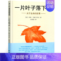 一片叶子落下来 绘本 [正版]彩虹色的花 绘本精装儿童书儿童绘本一年级启蒙认知绘本课外书阅读书籍 麦克格雷涅茨作品 二十