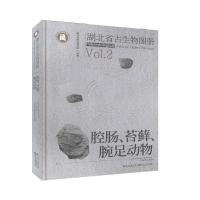 正版新书]湖北省古生物图册-VO1.2腔肠.苔藓.腕足动物不详978757