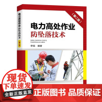 电力高处作业防坠落技术(第二版)