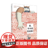魔法象 图画书王国 看 书中间有堵墙 乔恩·艾吉 著 儿童绘本