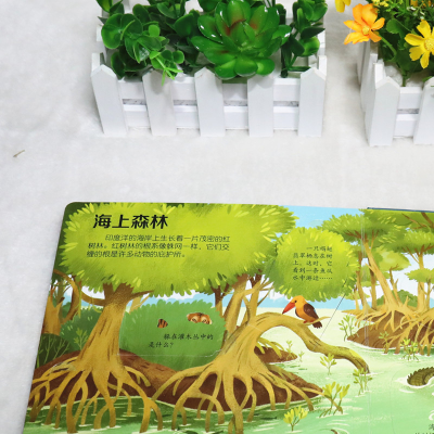 [M]揭秘海洋(低幼版)/尤斯伯恩看里面-9787544857888