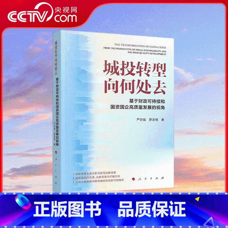 城投转型向何处去——基于财政可持续和国资国企高质量发展的视角 [正版]央视网城投转型向何处去 基于财政可持续和国资国企高
