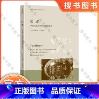 消遣:从金石艺术到中国现代史学 [正版]消遣:从金石艺术到中国现代史学 海外中国思想史研究前沿译丛书 宗小娜 浙江大