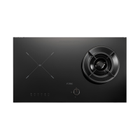 方太FOTILE气电两用灶JZDY/T-DA9B