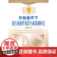 开放条件下银行系统性风险生成机制研究