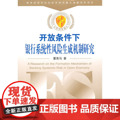 开放条件下银行系统性风险生成机制研究