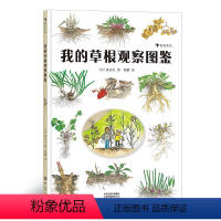 [正版]浪花朵朵童书 我的草根观察图鉴 入围大鹏自然童书奖50强 激发孩子自然观察兴趣的入门指南 自然观察 自然科普书