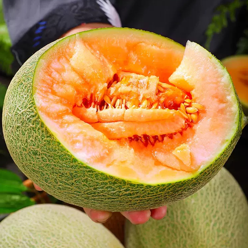 [熊猫鸟]新鲜哈密瓜 净重2.5斤 1个 应季水果 新鲜甜瓜 鲜果