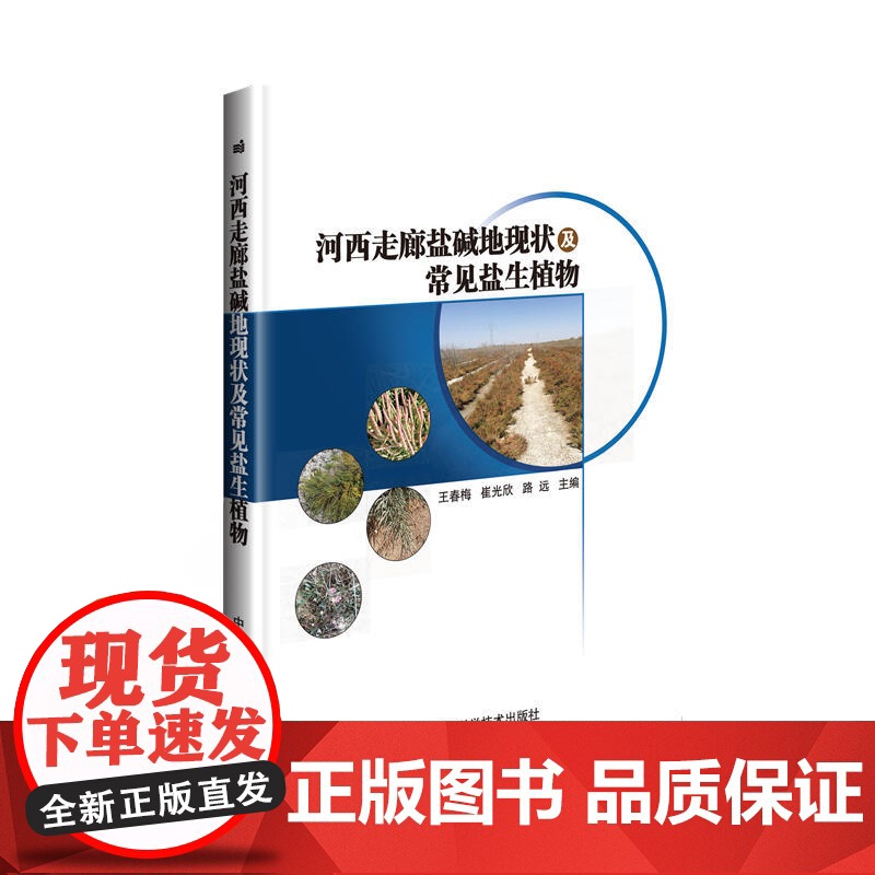 河西走廊盐碱地现状及常见盐生植物
