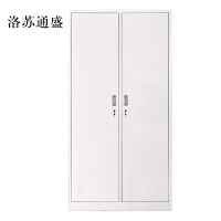 洛苏通盛加厚二门钢制更衣柜员工柜铁皮职工储物柜带锁存包柜鞋柜常规款
