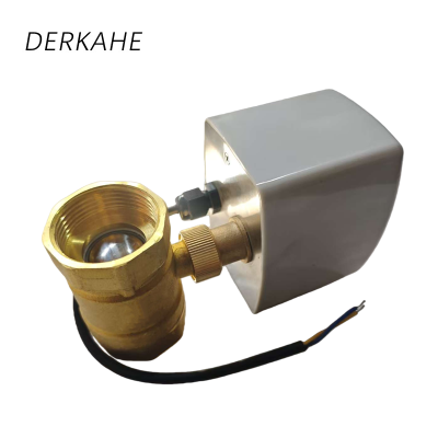 DERKAHE 电动球阀 4分/DN15 个