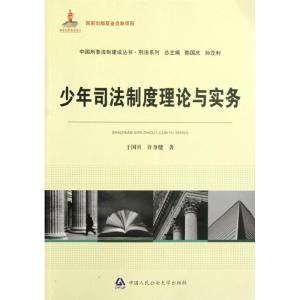 [M]少年司法制度理论与实务/中国刑事法制建设丛书-9787565308352