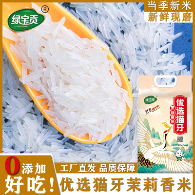 绿宝贡[新品低价]5斤装优选猫牙茉莉香米新米正宗农家长粒香优质大米南方大米