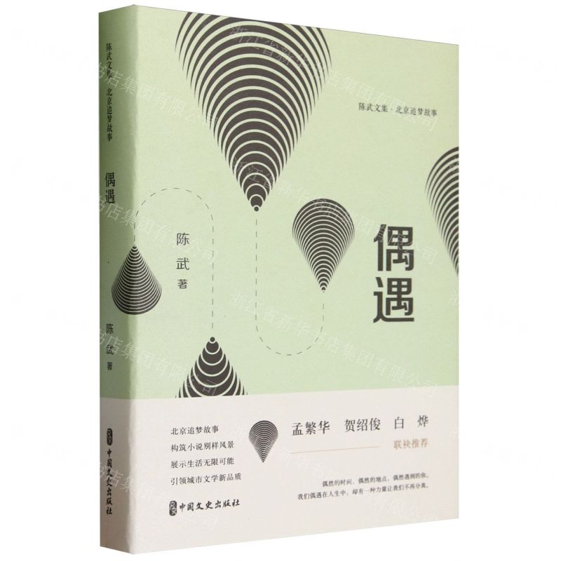 [N]偶遇(北京追梦故事)(精)/陈武文集-9787520542197