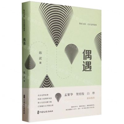 [N]偶遇(北京追梦故事)(精)/陈武文集-9787520542197