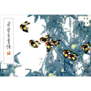 正版新书]荣宝斋画谱(231)-齐辛民绘花鸟部分齐辛民9787500319