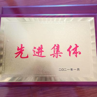 鹿鸣原 奖牌 35*50