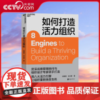 [央视网]如何打造活力组织 企业管理 资深战略管理顾问与组织设计专家联手打造 用八大活力引擎让组织重新焕发生机 SS