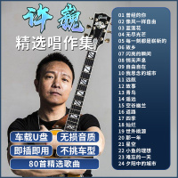 [补贴10%]汽车音响许巍专辑车载随身碟流行经典摇滚8090歌曲无失真高音质车用音乐USB随身碟usb