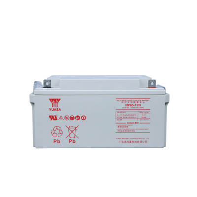 汤浅YUASA 铅酸蓄电池12V65Ah NP65-12H含配件 只