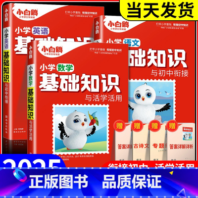 [全套2本]语文+英语 小学升初中 [正版]万唯小学基础知识与初中衔接大全手册语文数学英语小升初总复习资料四五六年级小学
