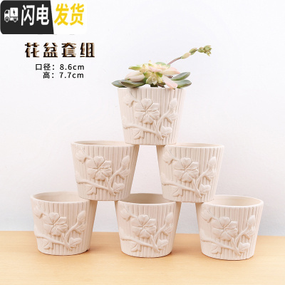 三维工匠拇指盆10个9.9多肉陶瓷花盆素烧DIY可手绘粗陶绿植盆肉盆 花瓣花盆6个 小花盆容器