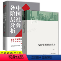 全2册 当代中国社会分层+中国社会各阶层分析 [正版]当代中国社会分层 中国当代社会学经典中产 +中国社会各阶层分析